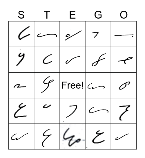 STEGO Bingo Card