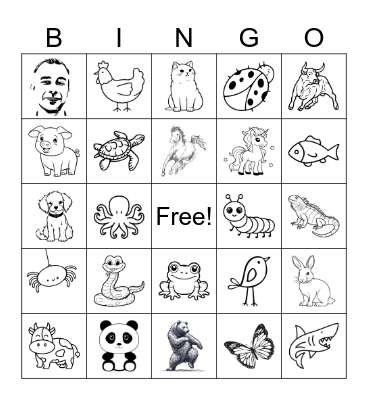 Pets Plus Bingo Card