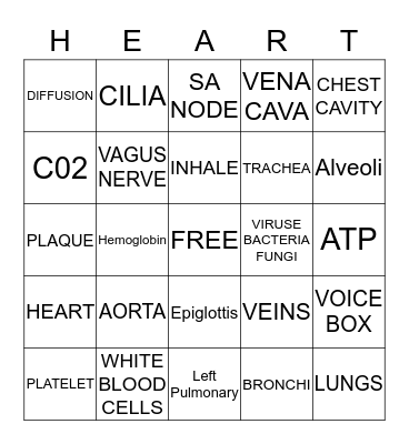 BLOOD FLOW BINGO Card