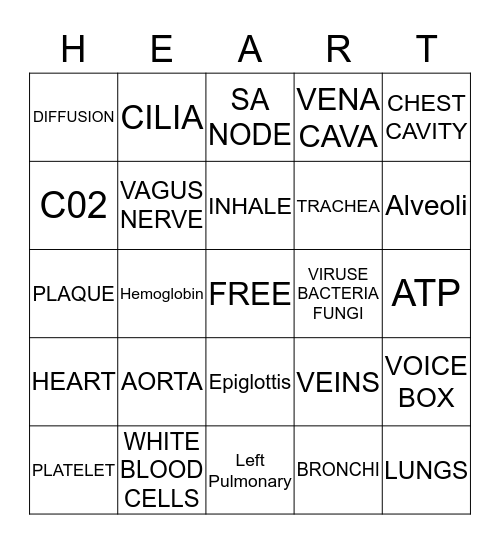 BLOOD FLOW BINGO Card