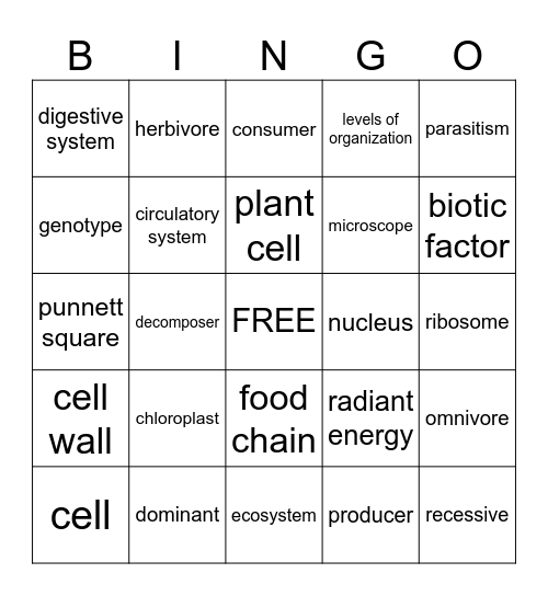 End of Year Review Bingo Card