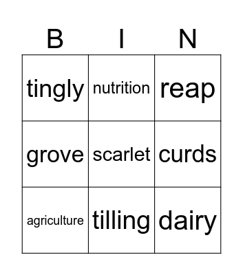 vocab bingo Card