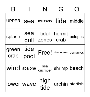 Sea Week Bingo Card