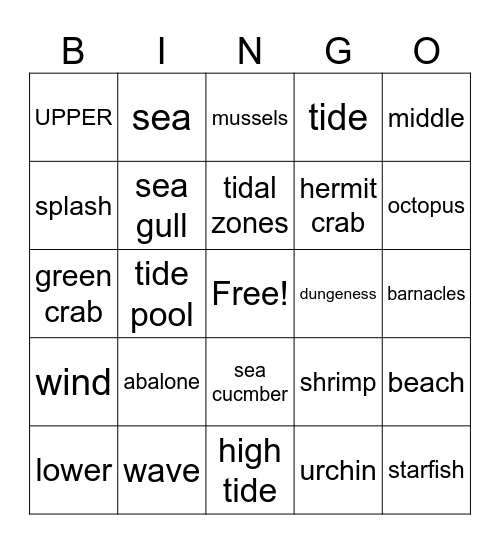 Sea Week Bingo Card