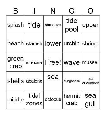 Sea Week Bingo Card