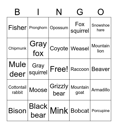 Mammals Bingo Card
