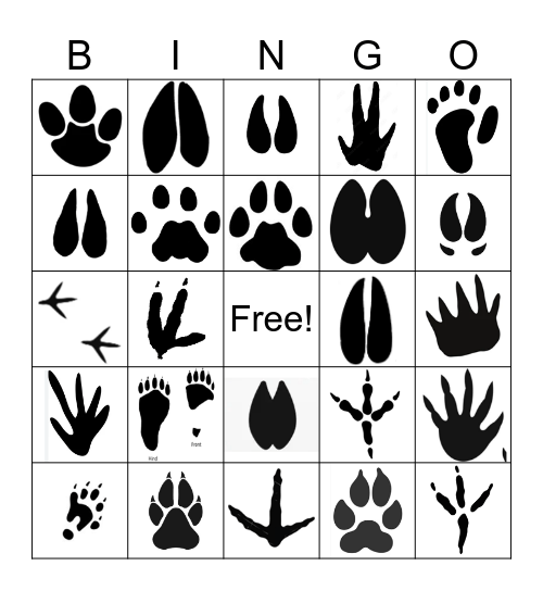 Animal Track Bingo Card
