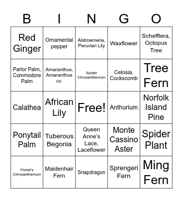 Floral ID Review Bingo - Test 1 Bingo Card