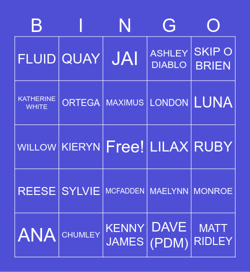 BADLANDS RP MOD GUESSER  BOARD Bingo Card