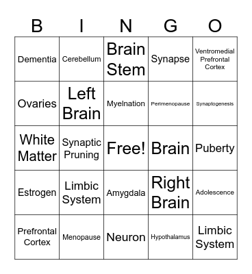 Brain and Physical Development Bingo Card