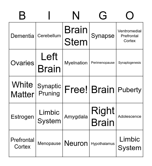 Brain and Physical Development Bingo Card