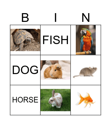 PETS Bingo Card