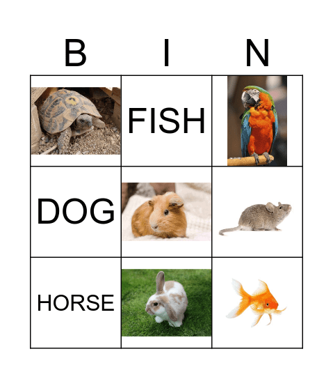 PETS Bingo Card
