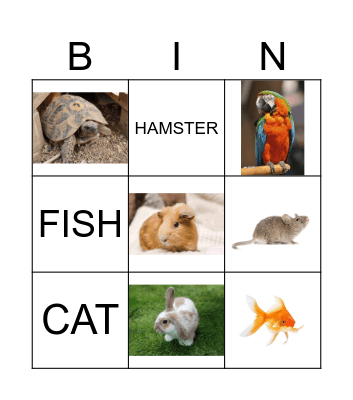 PETS Bingo Card