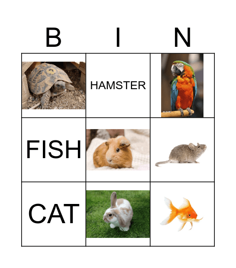 PETS Bingo Card