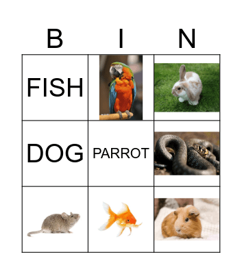 PETS Bingo Card