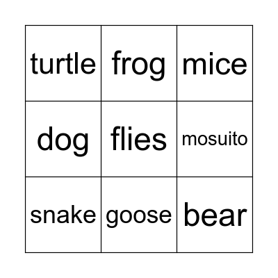 animals and insects Bingo Card