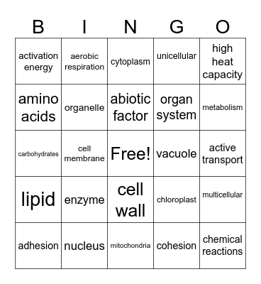 biology vocabulary (by isa) Bingo Card