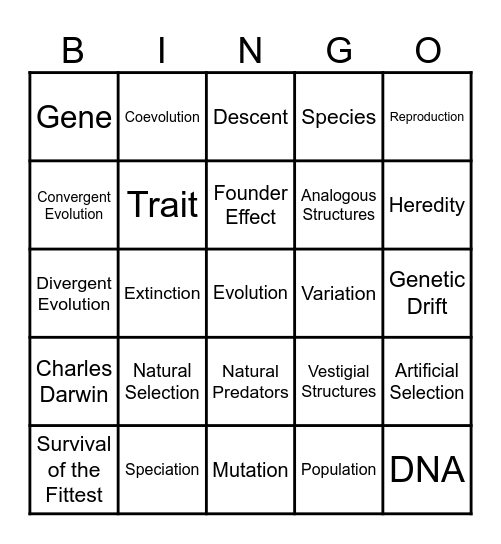 Evolution Bingo Card