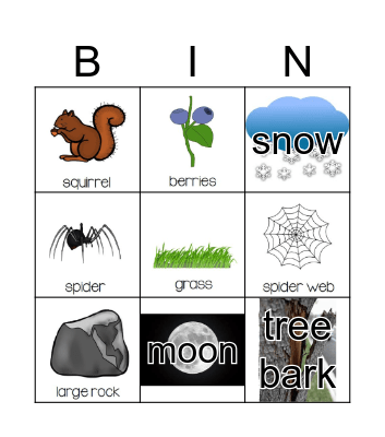 Nature Bingo Card