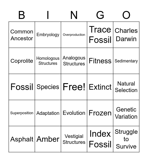 Evolution Bingo Card