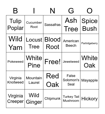 WRV Hike BINGO Card