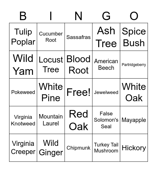 WRV Hike BINGO Card
