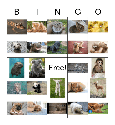 Baby Animals Bingo Card