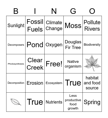 Final Review Bingo Card