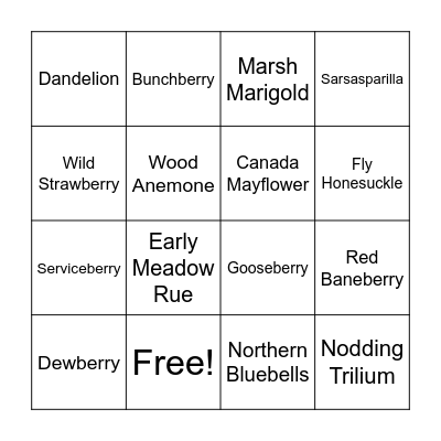 Wildflower Bingo Card