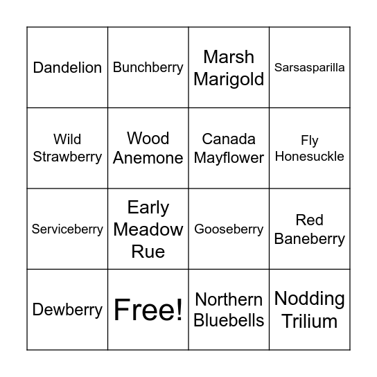 Wildflower Bingo Card