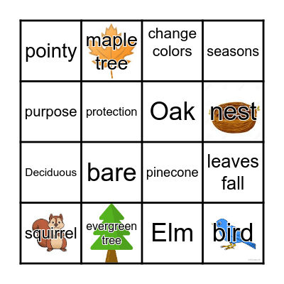 Evergreen and Deciduous Bingo Card