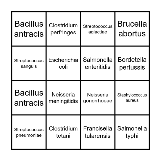 Bacterias Gram + y - Bingo Card