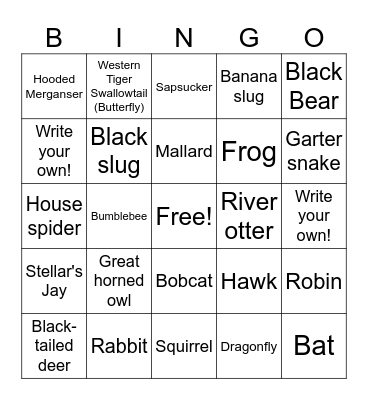 Moeller Bingo Card