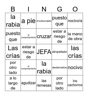 AP-Unidad 1-Subtema#4 Bingo Card