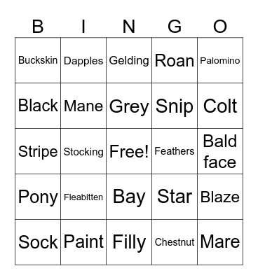 Horse colors and markings Bingo Card