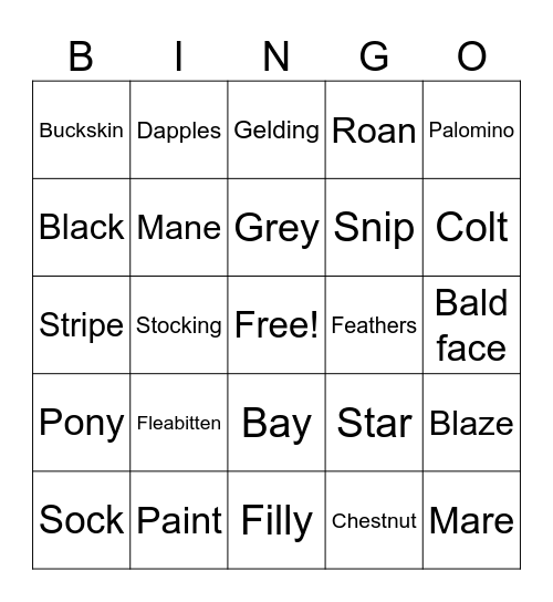 Horse colors and markings Bingo Card