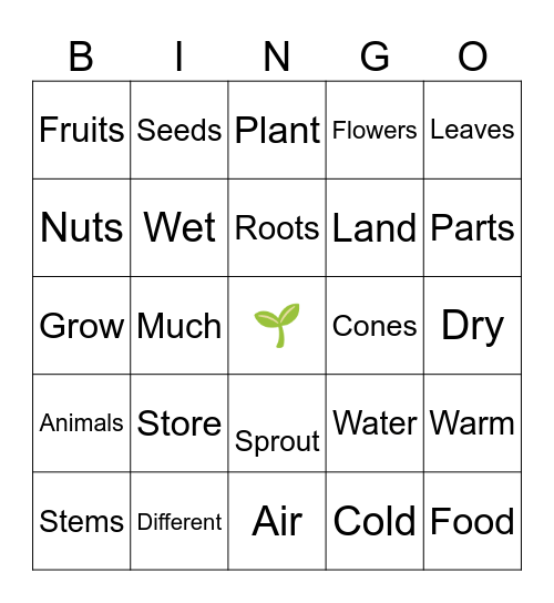 Plants Bingo Card