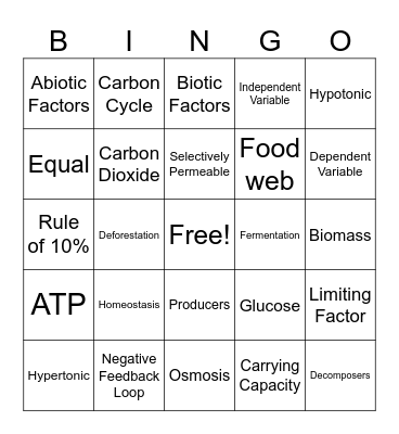 Biology Review '25 Bingo Card