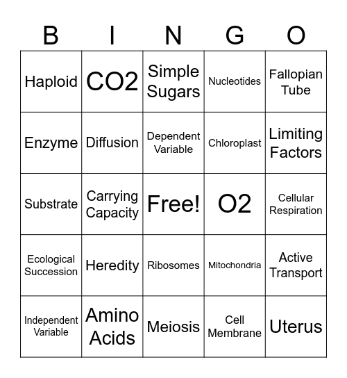 Regents Living Environment Review Bingo Card