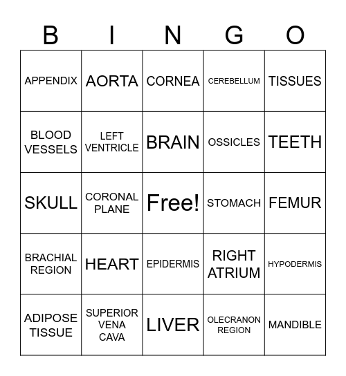 Human Body Parts Bingo Card