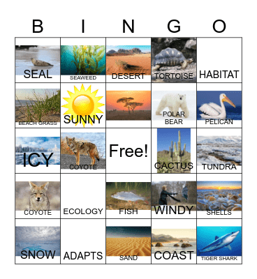 Animal Habitat Vocabulary and More Bingo Card
