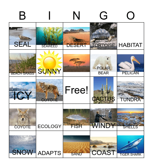 Animal Habitat Vocabulary and More Bingo Card
