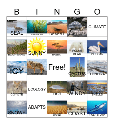 Animal Habitat Vocabulary and More Bingo Card