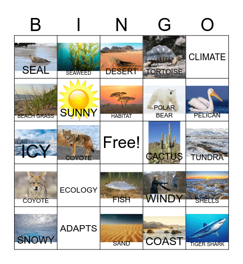 Animal Habitat Vocabulary and More Bingo Card