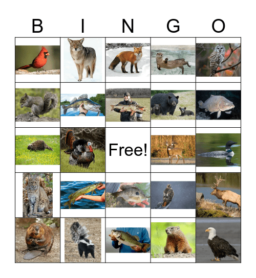 PA Wildlife Bingo Card
