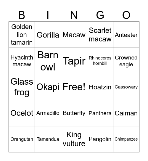 RAINFOREST BINGO Card