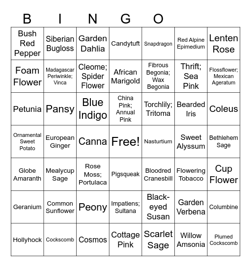 Annuals Bingo Card