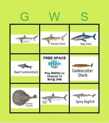 GREAT WRIGHT SHARKS Bingo Card