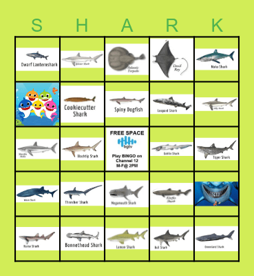 WRIGHT HOUSE BINGO Card